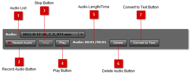 Audio Controls