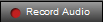 2. Record Audio Button