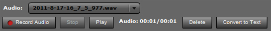 2. Audio Controls